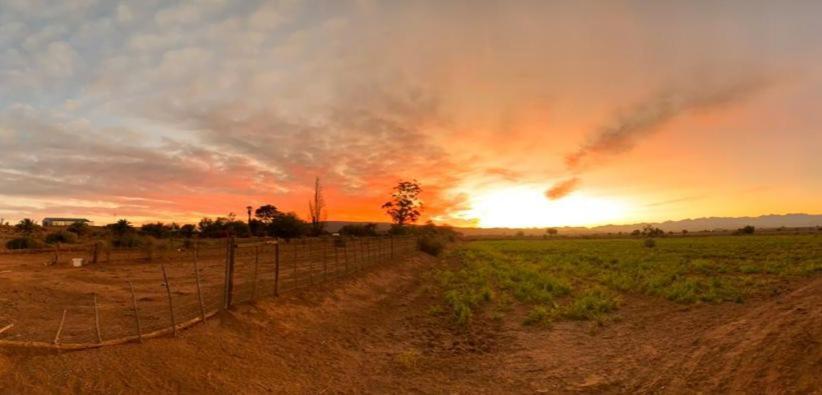 Pureplaas Self Catering Volmoed Oudtshoorn Klein Karoo Leilighet Eksteriør bilde